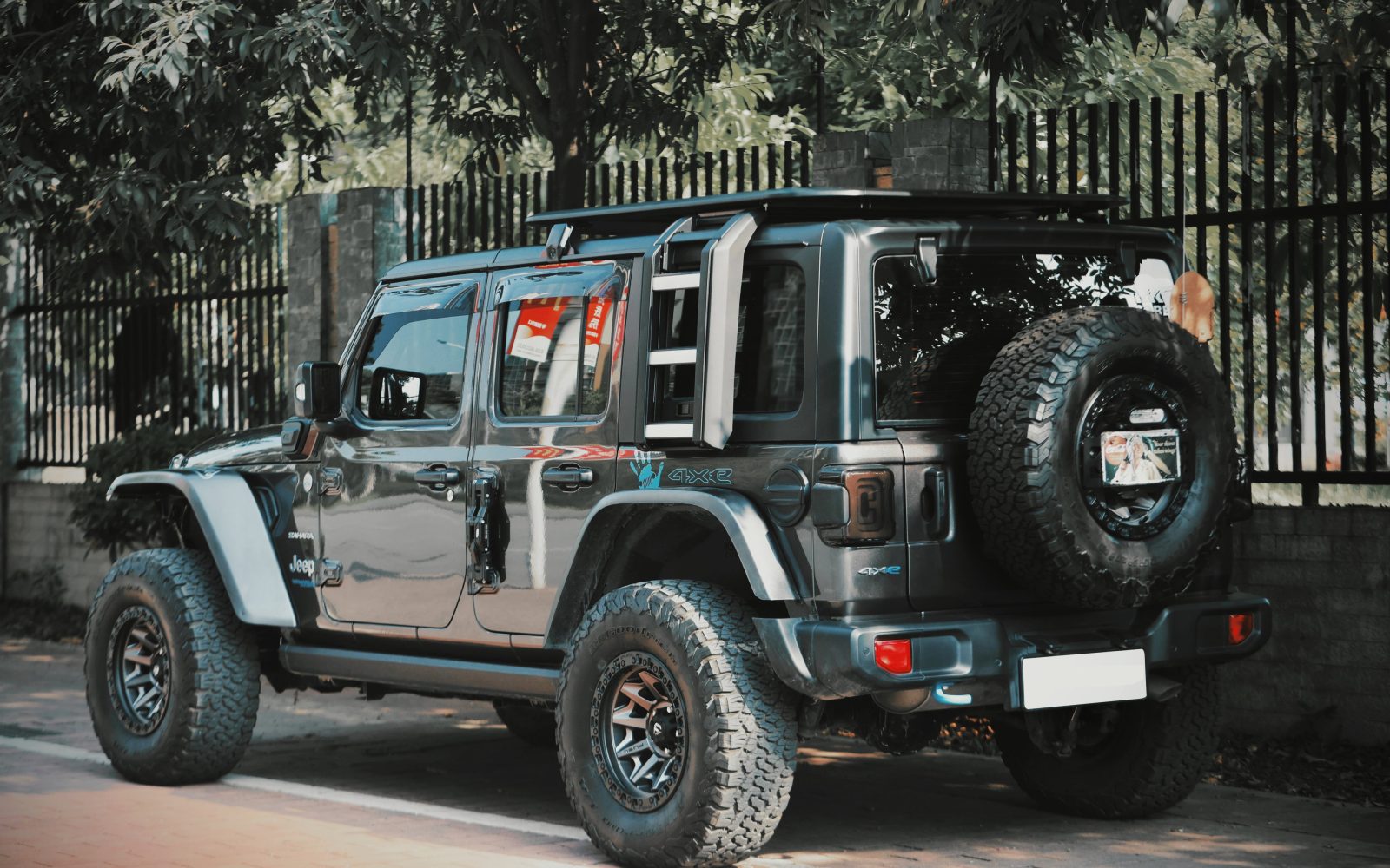 WS Series Roof rack and Side ladder