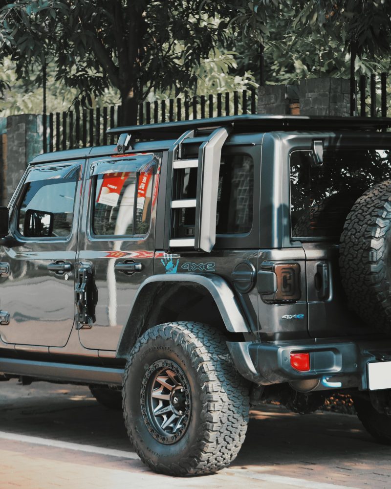 WS Series Roof rack and Side ladder