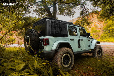 Vehicles on the Trip - image 14