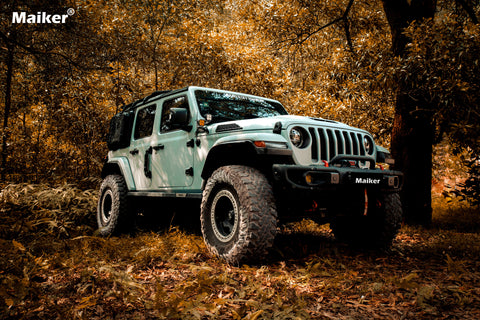 Vehicles on the Trip - image 13