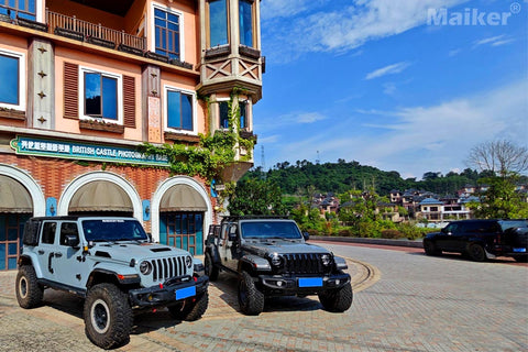 Vehicles on the Trip - image 26