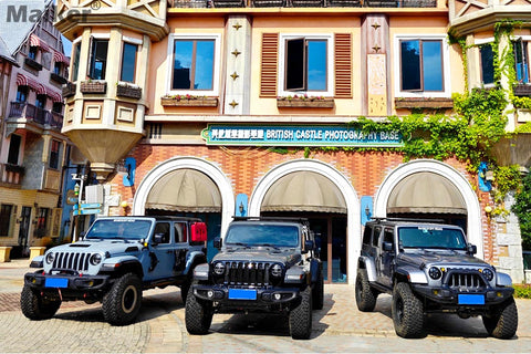 Vehicles on the Trip - image 28