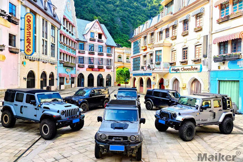 Vehicles on the Trip - image 29