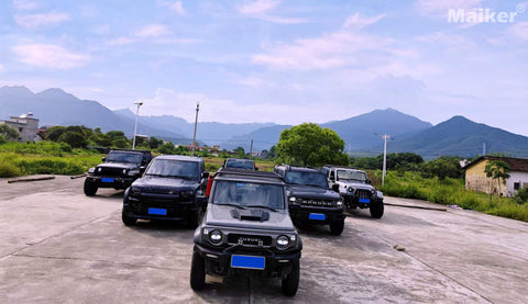 Vehicles on the Trip - image 2
