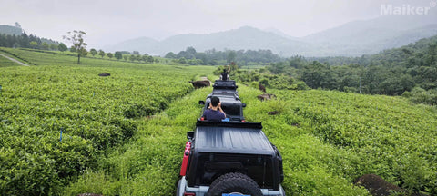 Vehicles on the Trip - image 22