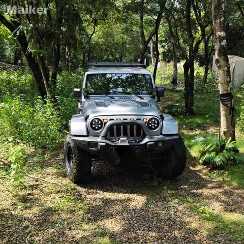 Vehicles on the Trip - image 10