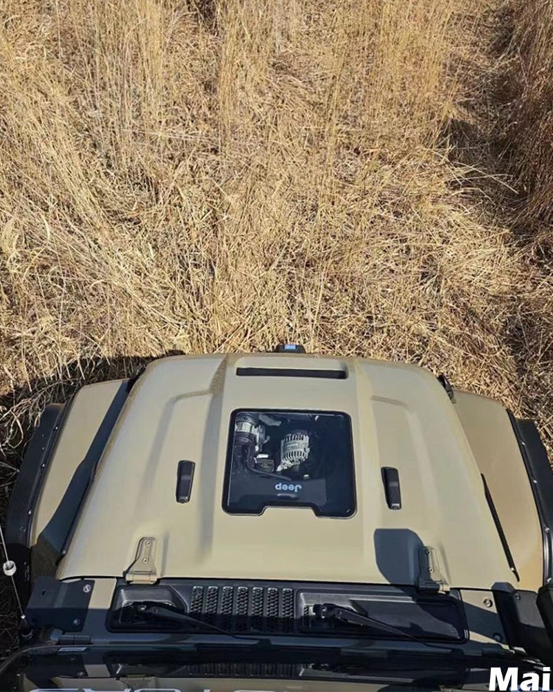 Maiker Space Capsule Hood | maike-auto.com