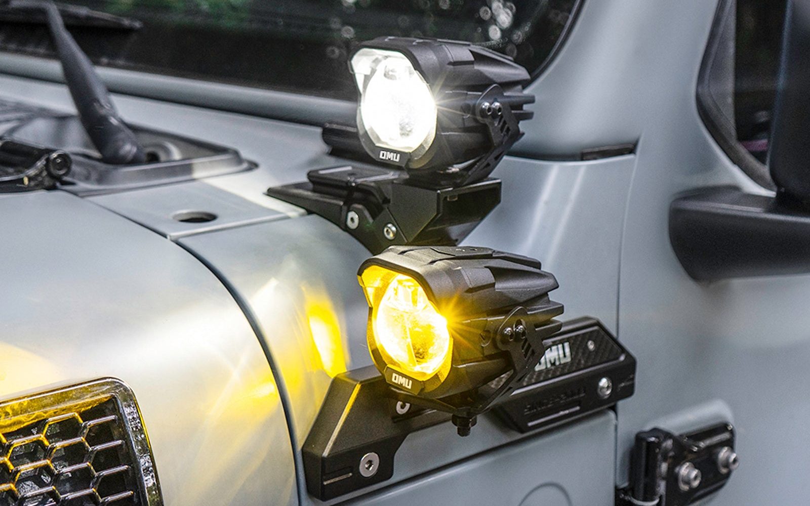 OMU Genesis A Pillar Spotlight For Universal Model